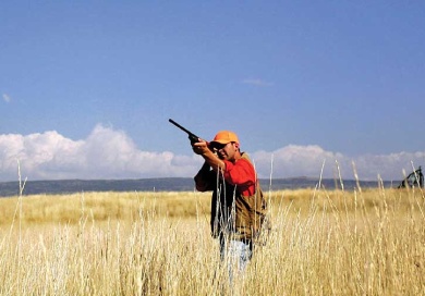 Person Hunting
